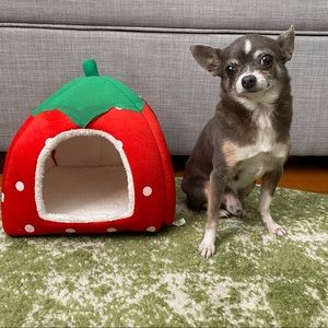 SHOPTREND Cute Strawberry EXTRA Small Pet Bed